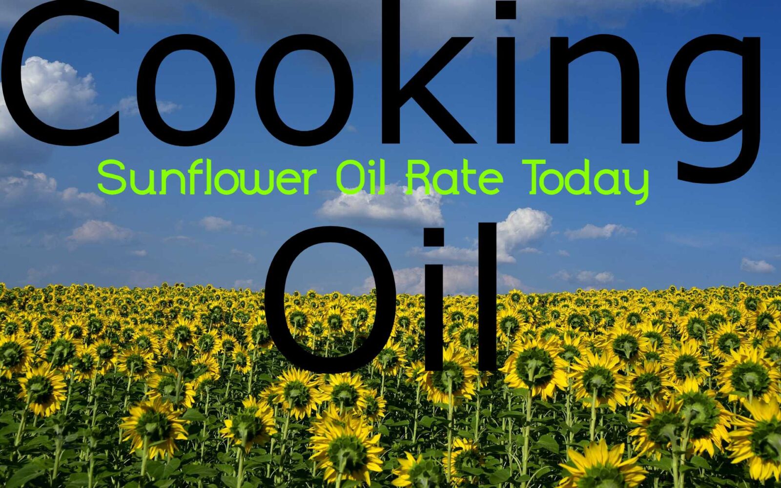 sunflower-oil-price-in-bangalore-june-26-2023-kiodigital